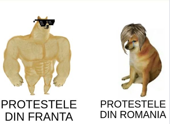 Hai la protest!
